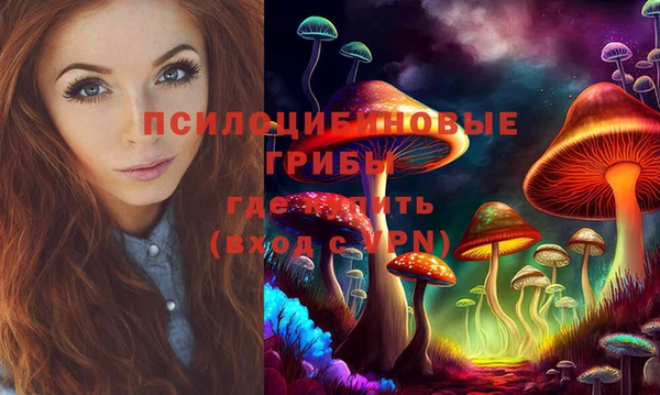 стаф Белокуриха