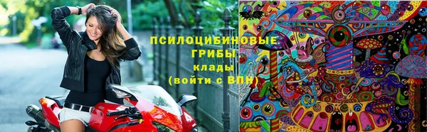меф Богородицк