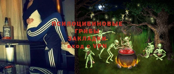 стаф Белокуриха