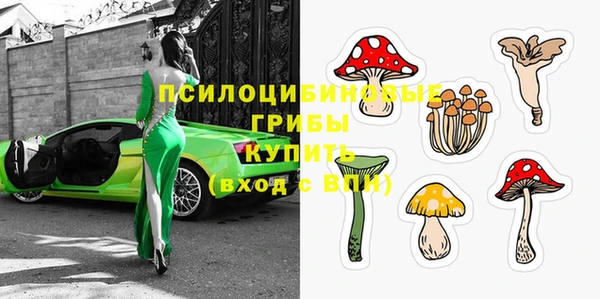 стаф Белокуриха