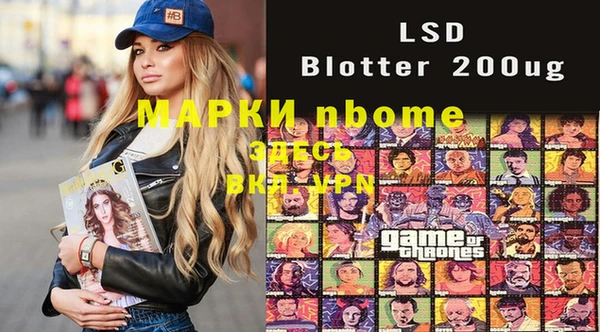 стаф Белокуриха