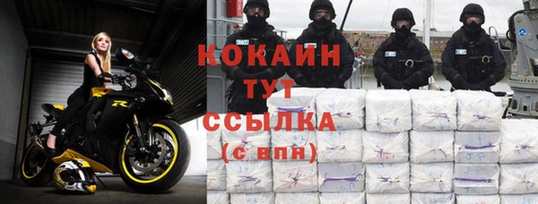 стаф Белокуриха