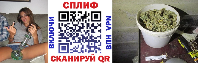 МЕГА ТОР  Бородино  Каннабис марихуана 